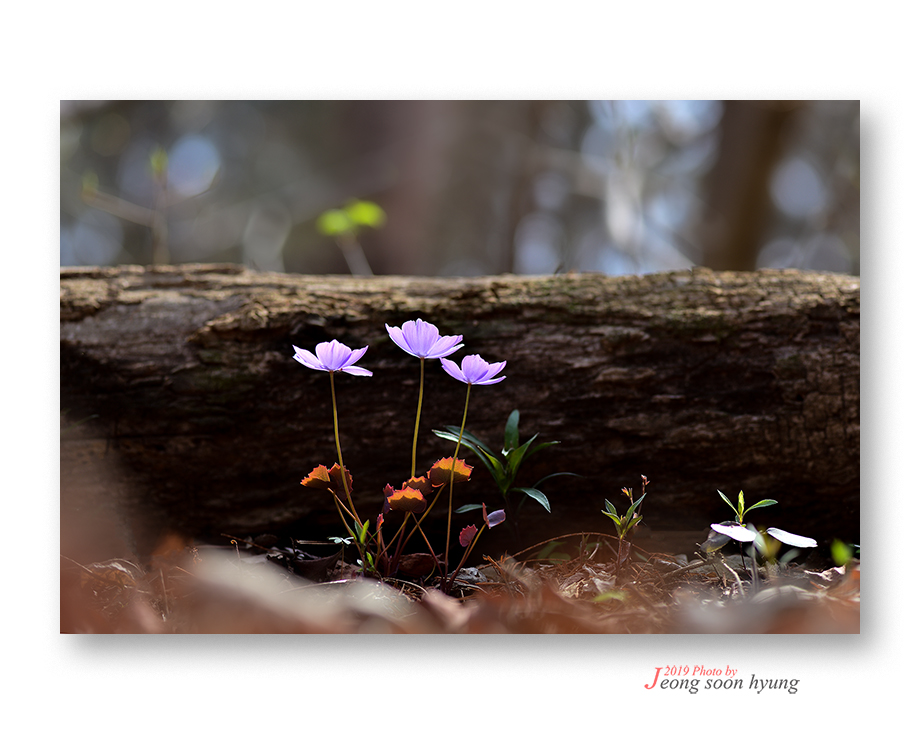 DSC_1563r.jpg