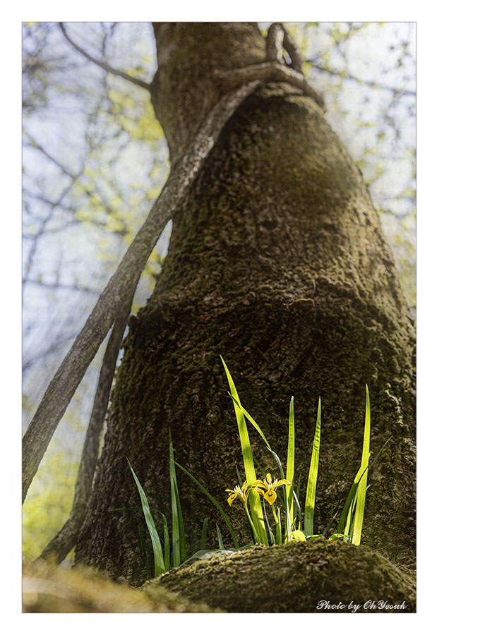 060A9292-1-900 복사 사본.jpg