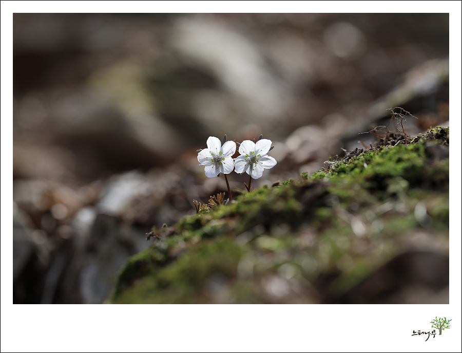 1D5A6153.jpg