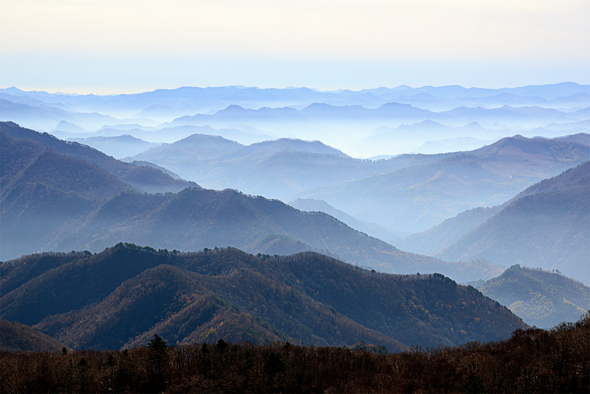 dsc_3417.jpg
