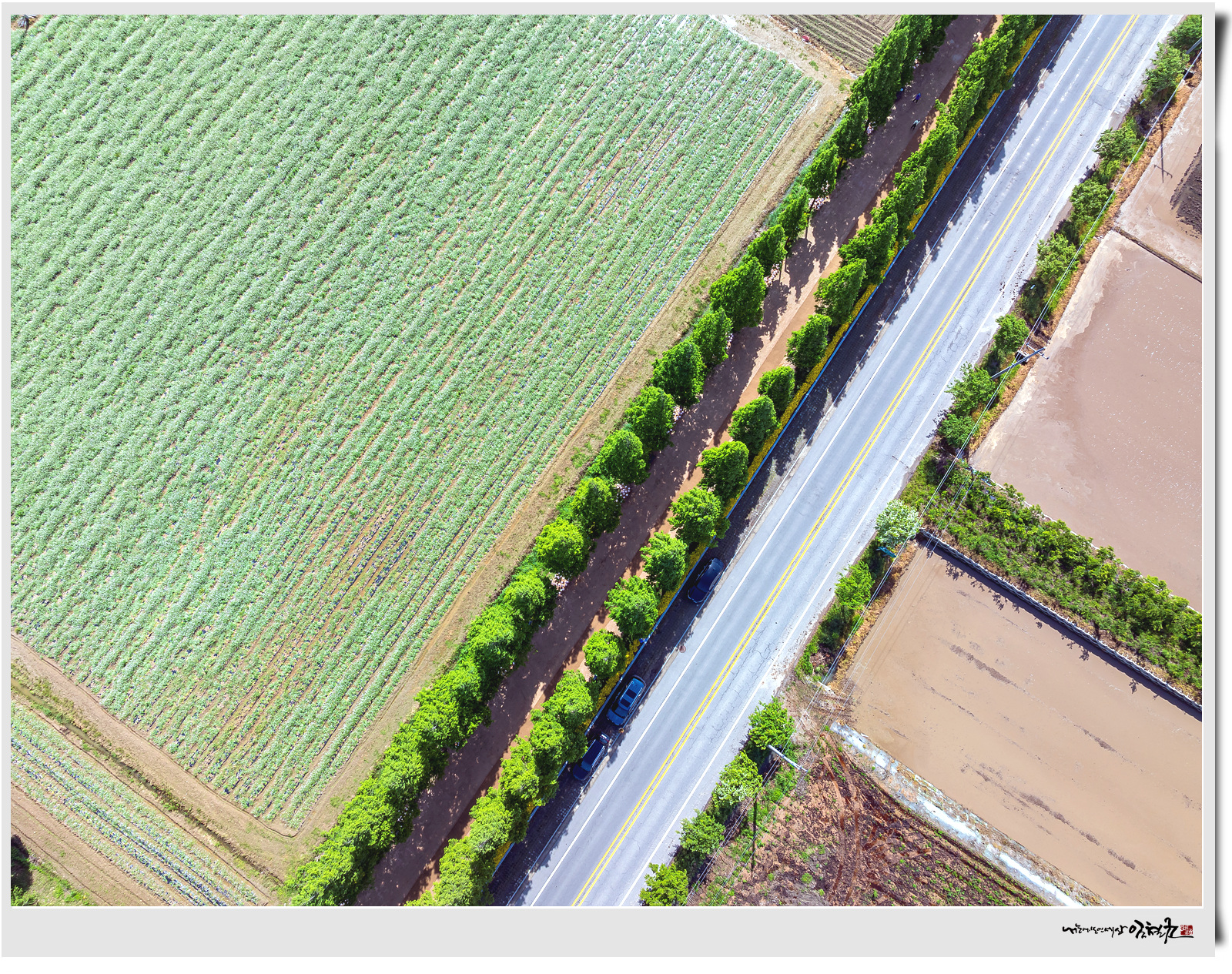 DJI_20240513095203_0071_D 복사.jpg