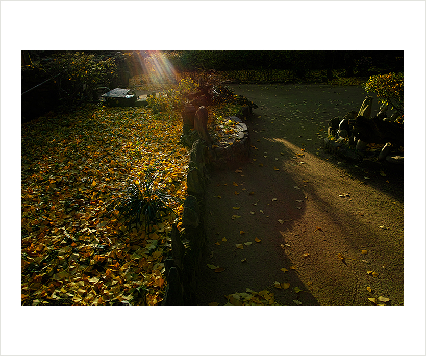 sdim2308-3.jpg