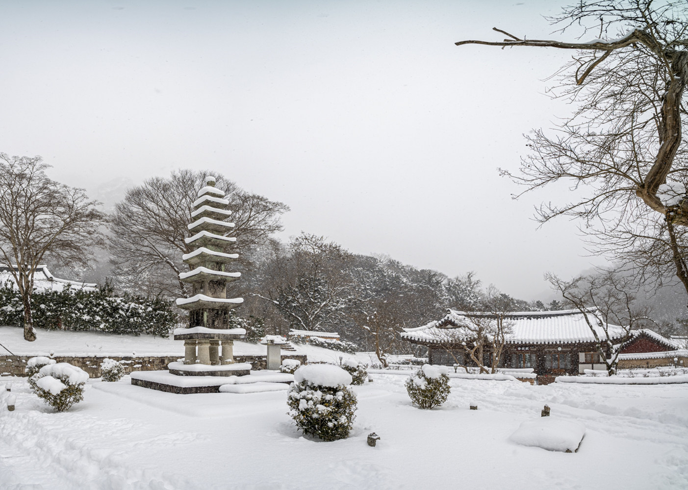 백양사 5.jpg