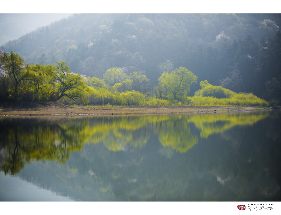 _dsc2298_사본.jpg
