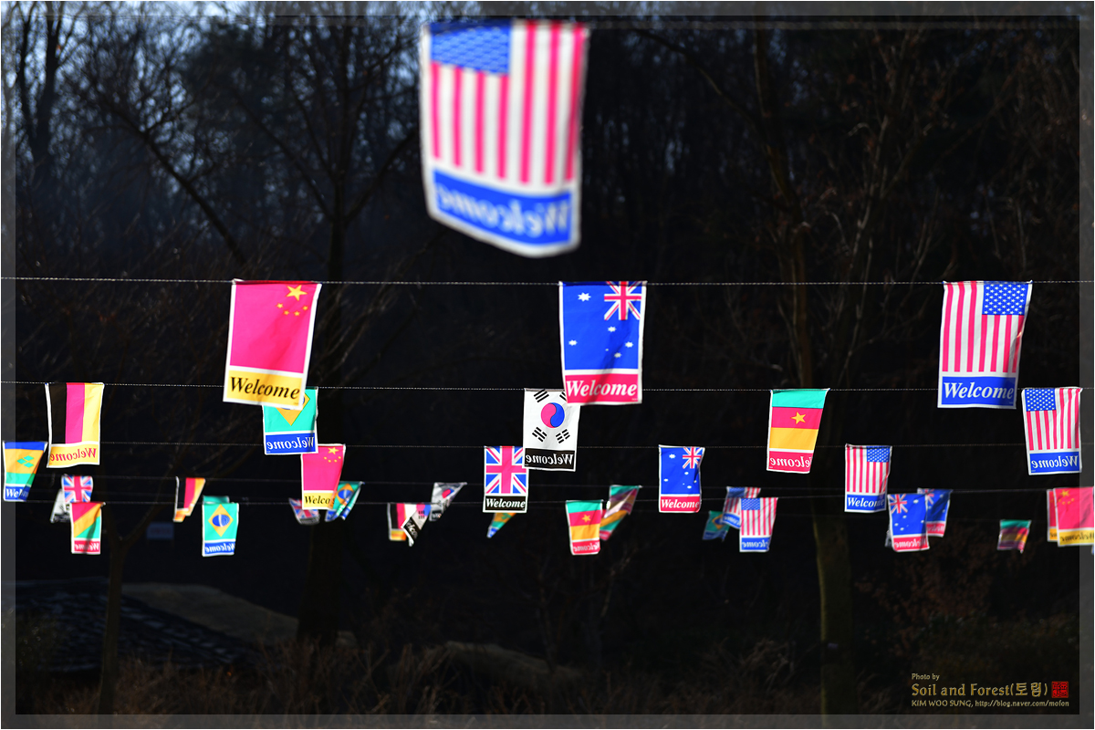 dsc_3234j12.jpg