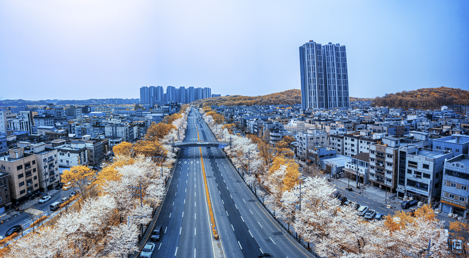 벚꽃NDVI.jpg