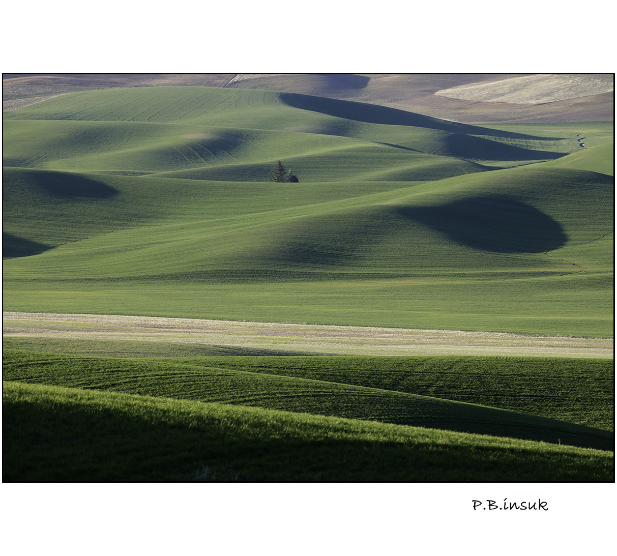 071A1725-1.jpg