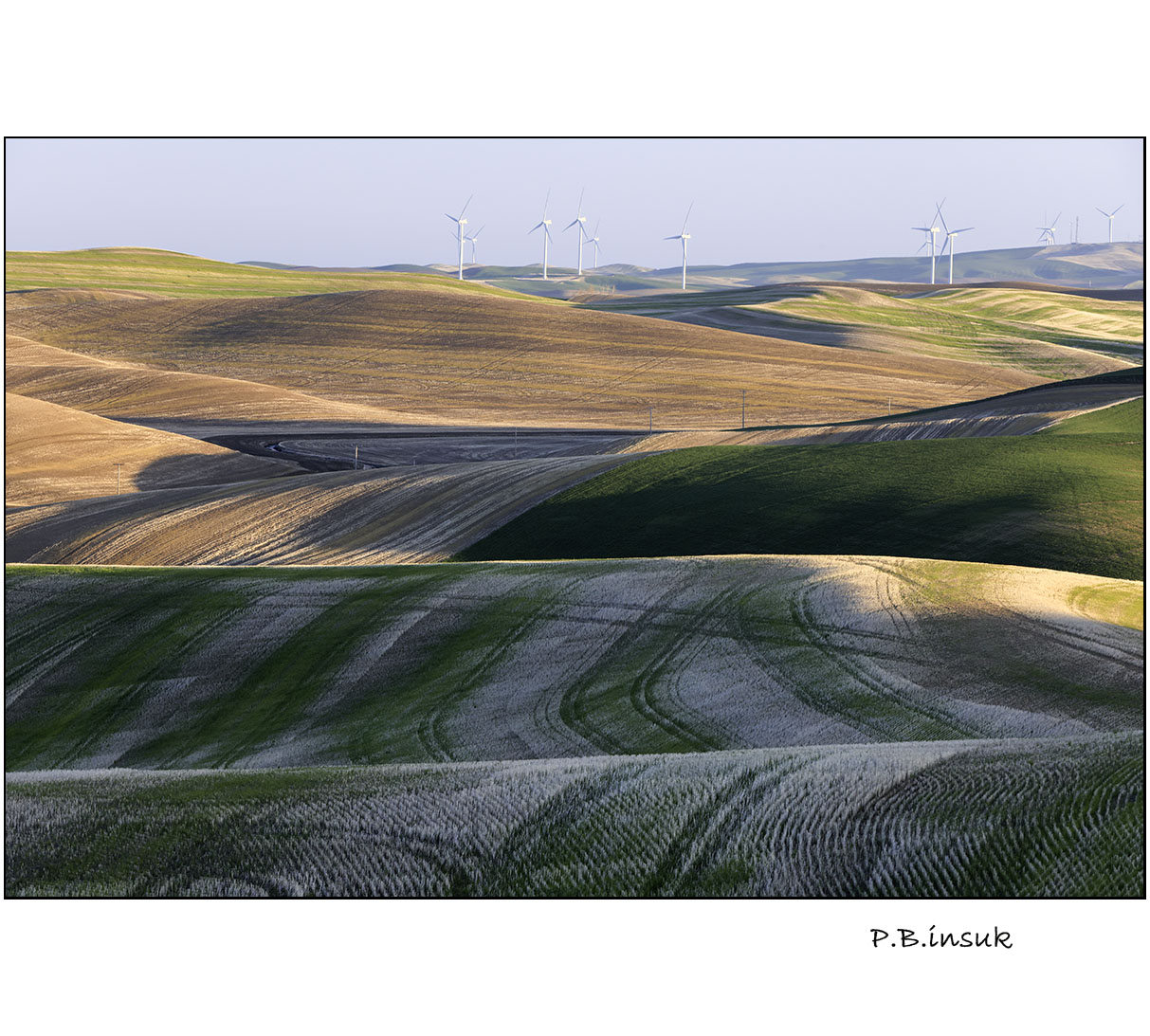 071A0305-2.jpg