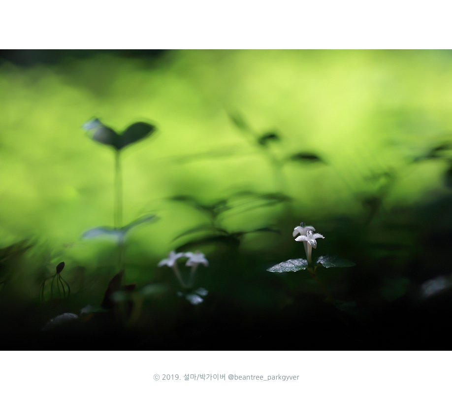 beantree_20190615_⑤2742-1-1(fj).jpg