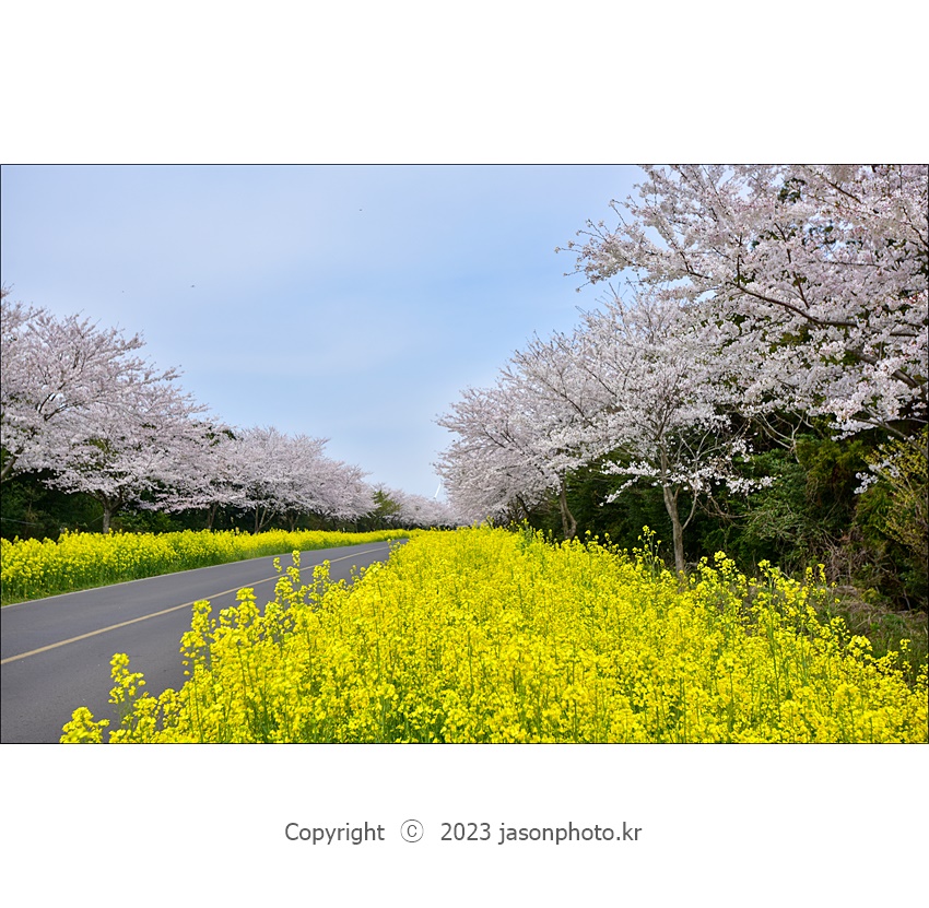 DSC_8672 복사.jpg