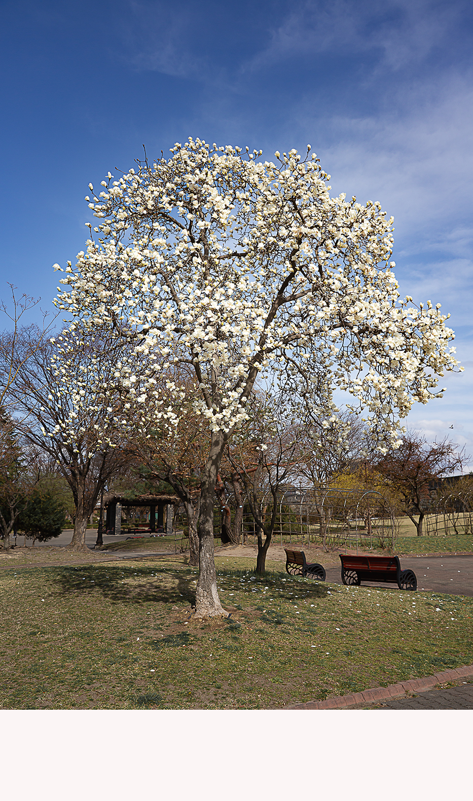 D55A0001-3.jpg
