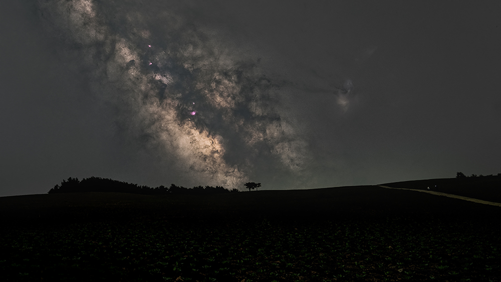 현상 last (1000) starless.jpg