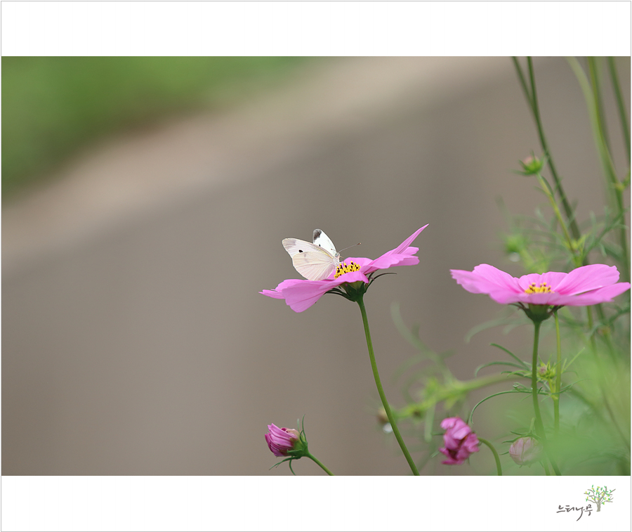 IMG_8035.jpg