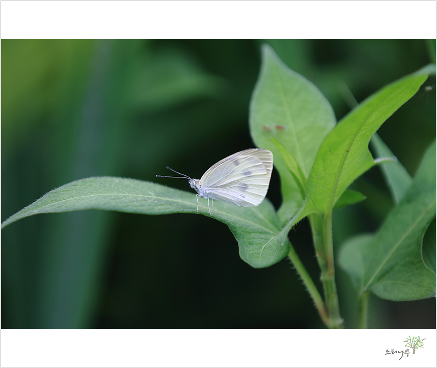 IMG_7871.jpg