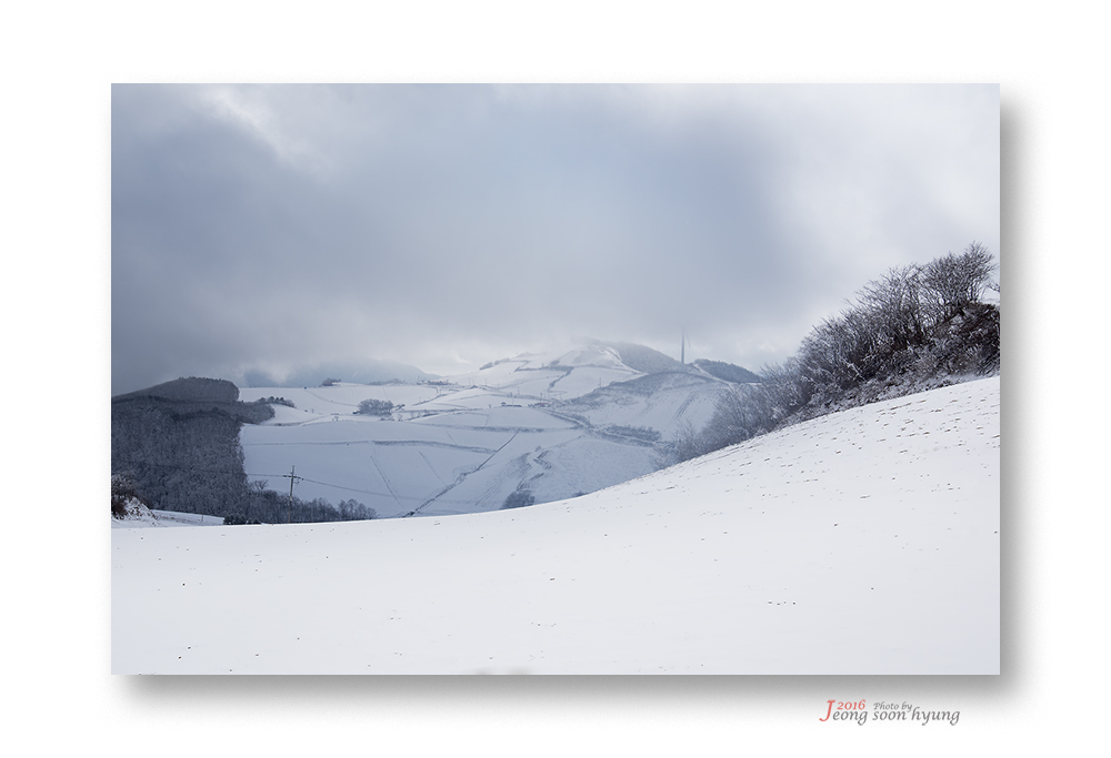 dsc_1697r.jpg
