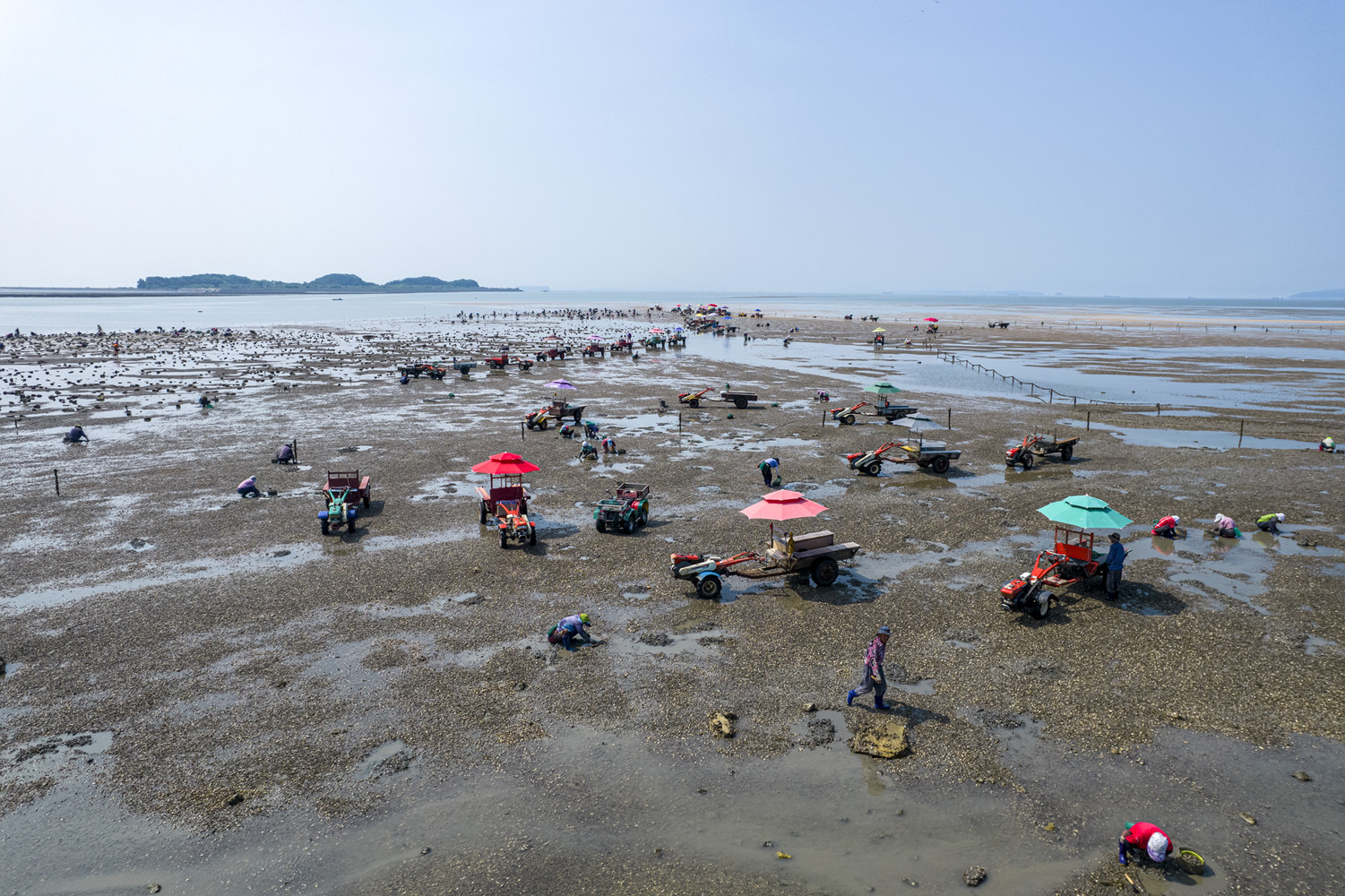 바지락 캐기 1.jpg