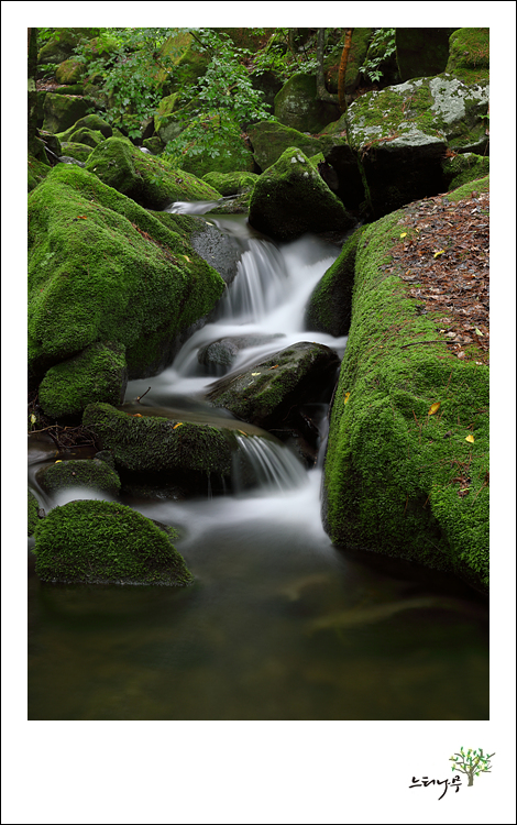 1D5A7606.jpg