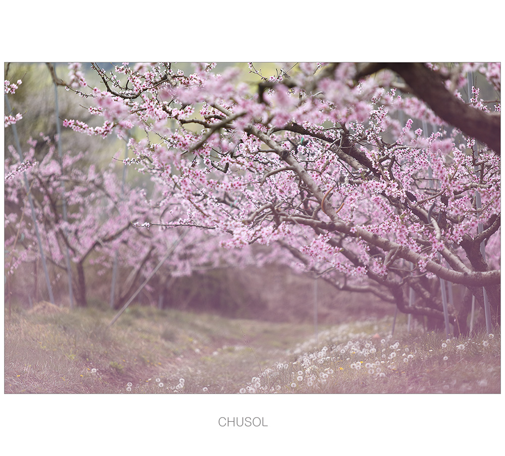 _D3A5485.jpg