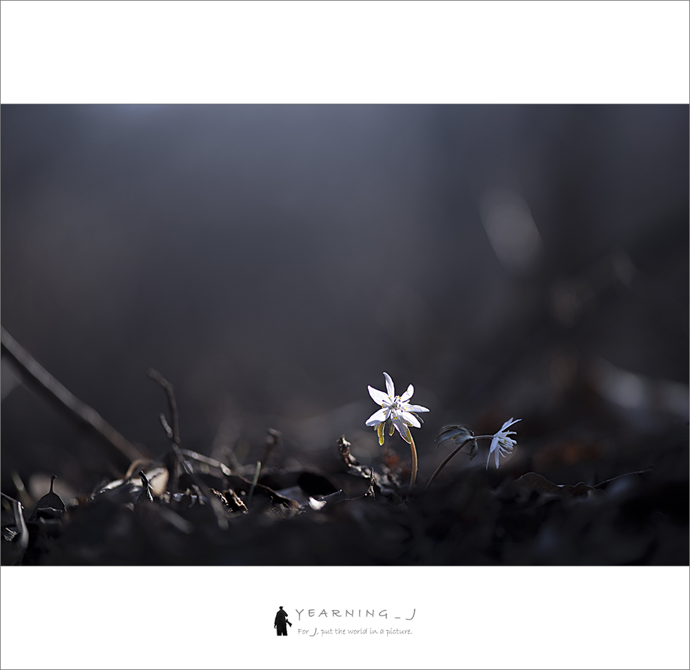 _23K0271.jpg