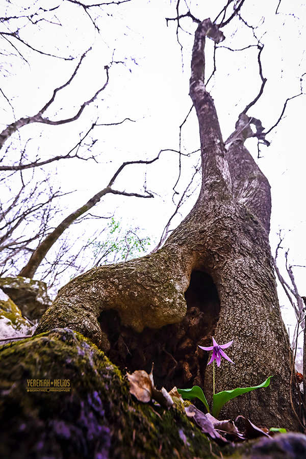 beantree250412_0002(YH)900.jpg