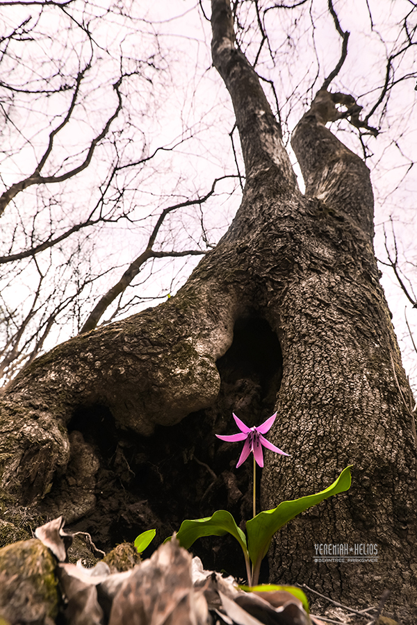 beantree250412_9992(YH)900.jpg