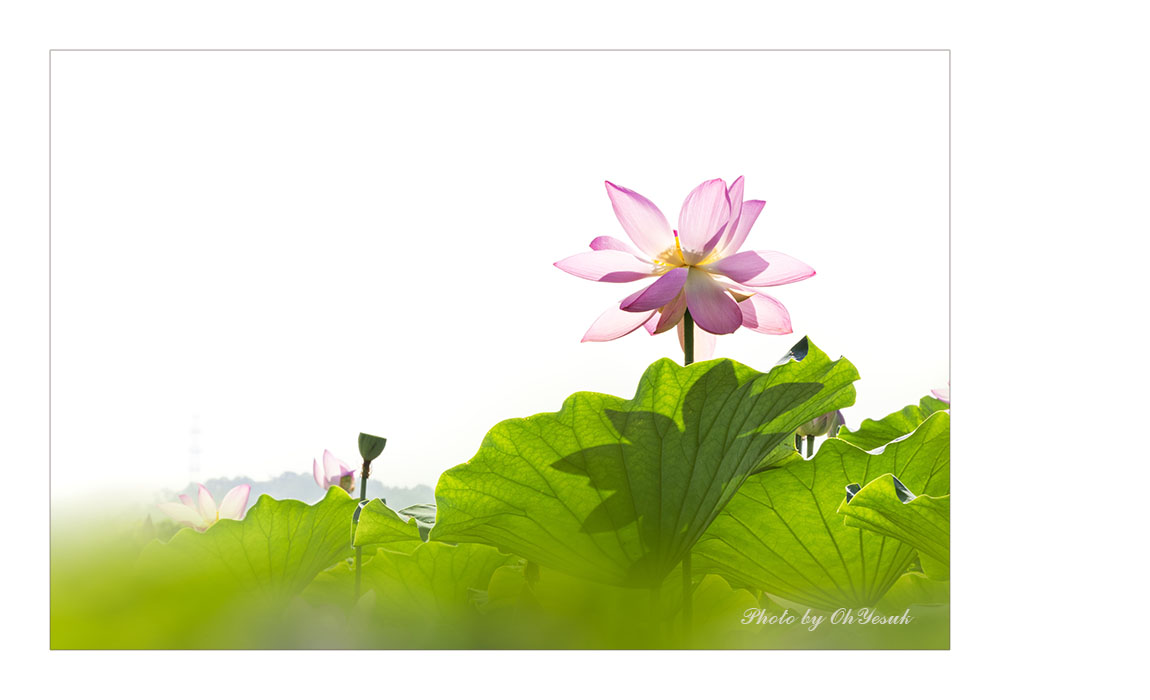 060A4076 -3 복사 사본.jpg