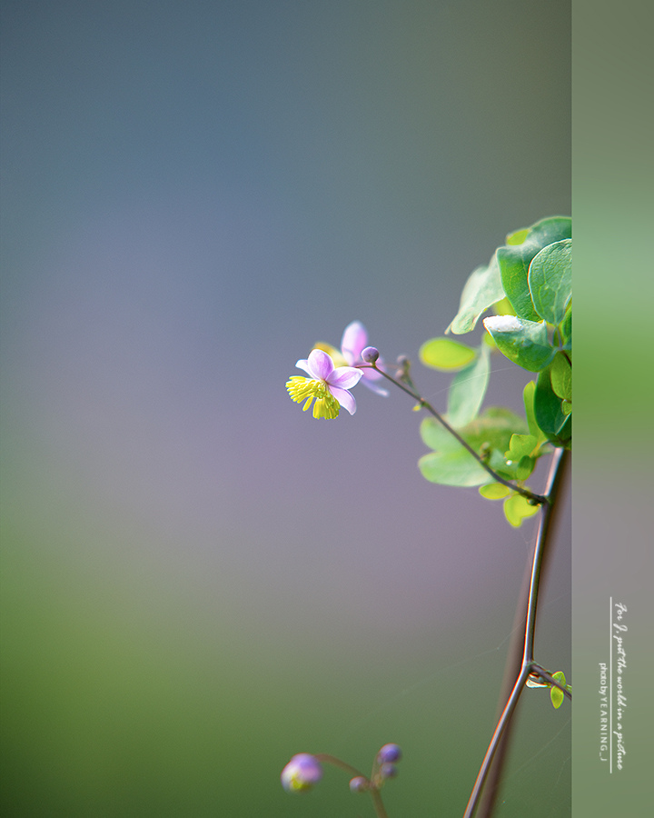 24K_1019-1feel.jpg