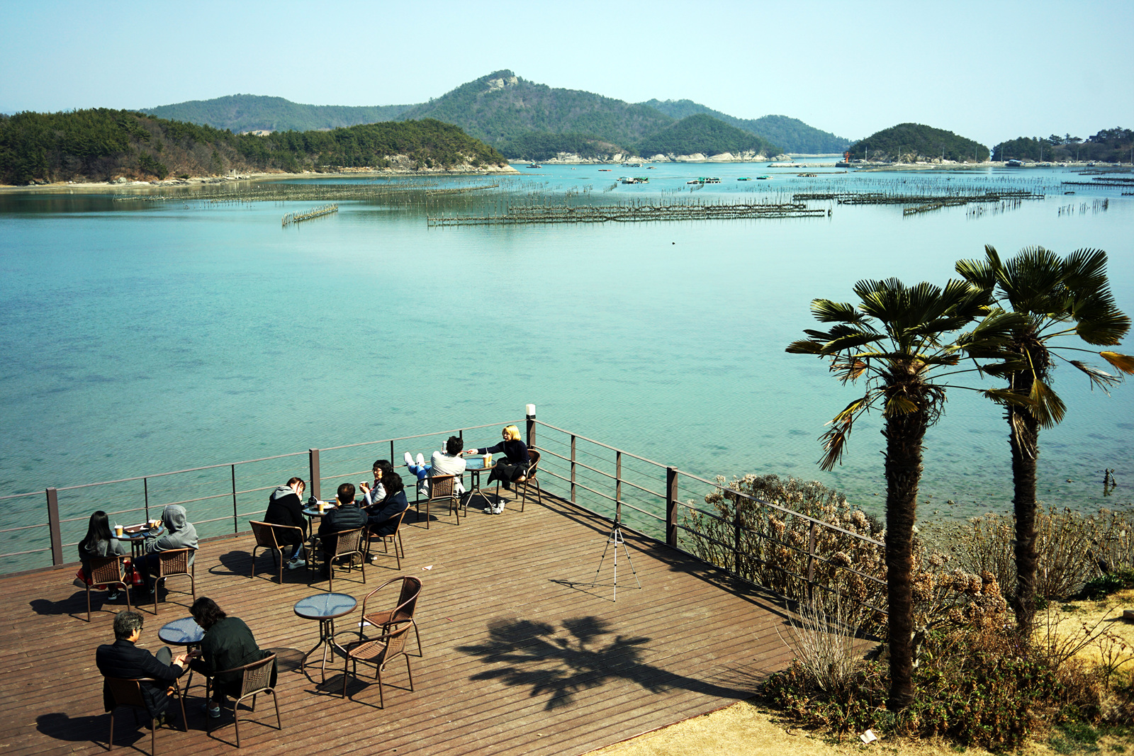 DSC06402-1.jpg